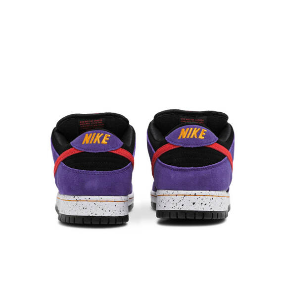 DUNK LOW PRO SB “ACG TERRA” BQ6817 008