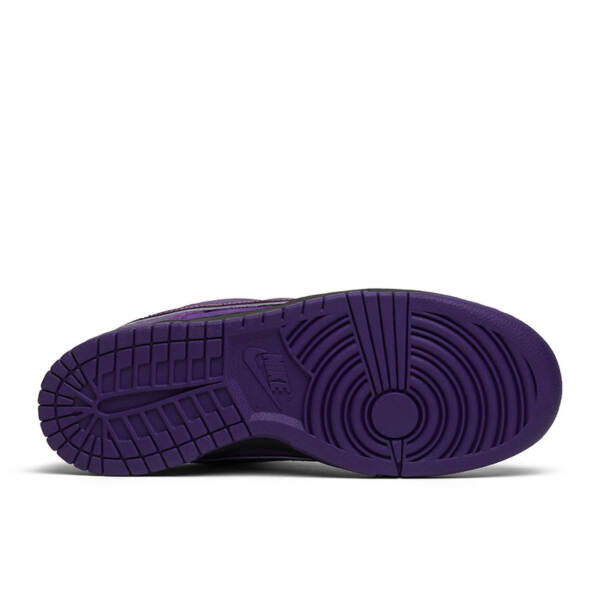CONCEPTS X DUNK LOW SB “PURPLE LOBSTER” BV1310 555