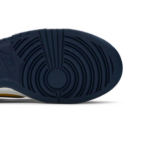 DUNK LOW “MICHIGAN” 2021 DD1391 700