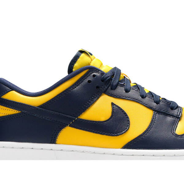 DUNK LOW “MICHIGAN” 2021 DD1391 700