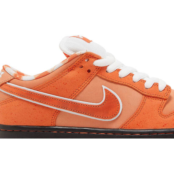 CONCEPTS X DUNK LOW SB “ORANGE LOBSTER” FD8776 800