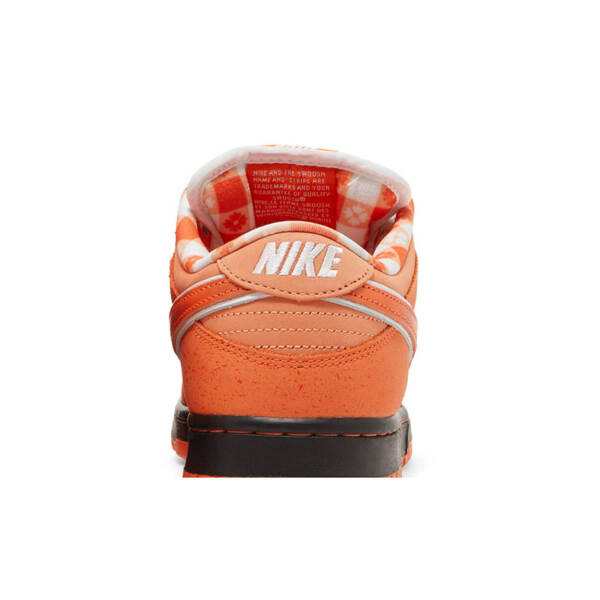 CONCEPTS X DUNK LOW SB “ORANGE LOBSTER” FD8776 800