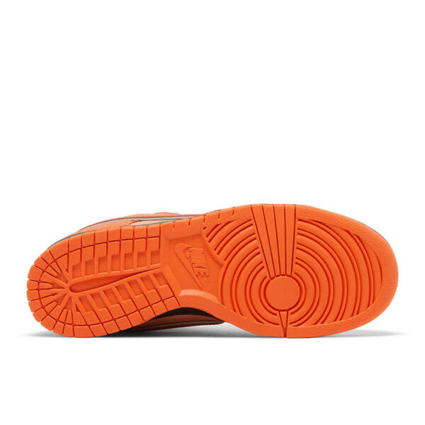 CONCEPTS X DUNK LOW SB “ORANGE LOBSTER” FD8776 800