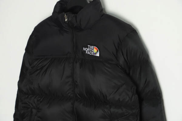 The North Face FW22 1996 复古 Nuptse Pride 夹克 700 Puff 彩虹标志刺绣立领拉链羽絨服 TSK1