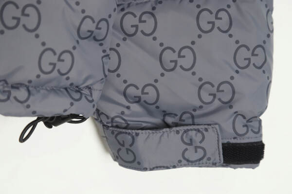 Gucci X The North Face 北面联名 Gucci 老花标志羽絨服 TSK1